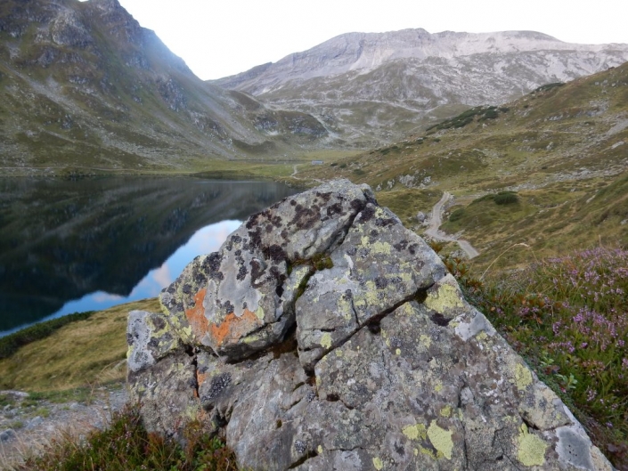 19.-24. August 2018 – Workshop Alpine Land Snails in Johnsbach