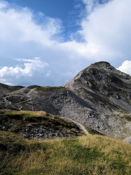 19.-24. August 2018 – Workshop Alpine Land Snails in Johnsbach