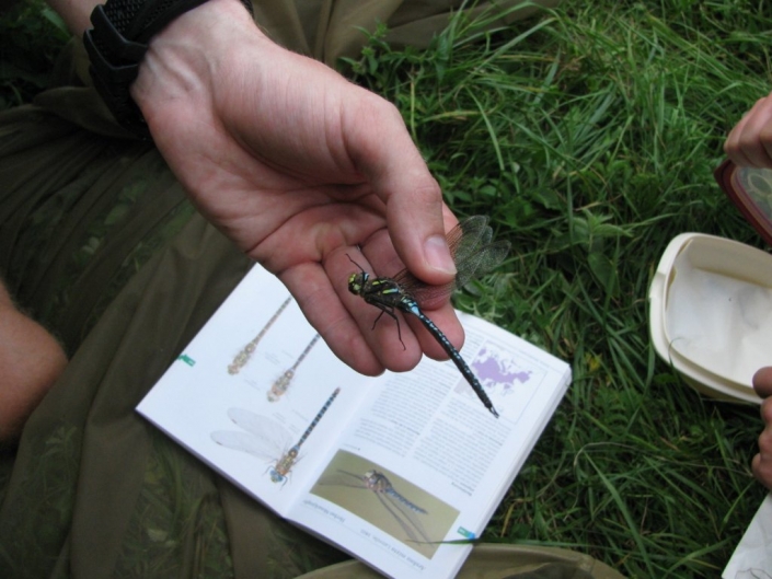 19.-24. August 2018 – Workshop Alpine Land Snails in Johnsbach