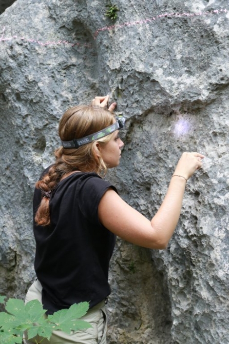 19.-24. August 2018 – Workshop Alpine Land Snails in Johnsbach