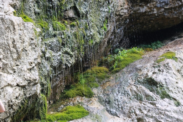 19.-24. August 2018 – Workshop Alpine Land Snails in Johnsbach