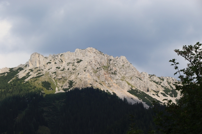 19th-24th August 2018 – Workshop Alpine Land Snails in Johnsbach