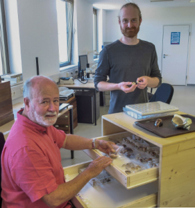 Working on the collection of marine gastropods (Photo by P. Kaufmann)