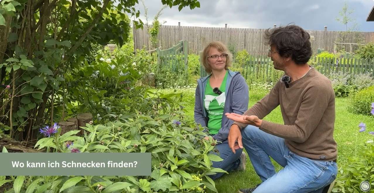 Video with Markus Burkhard about ＂snails in the garden＂ (in german)