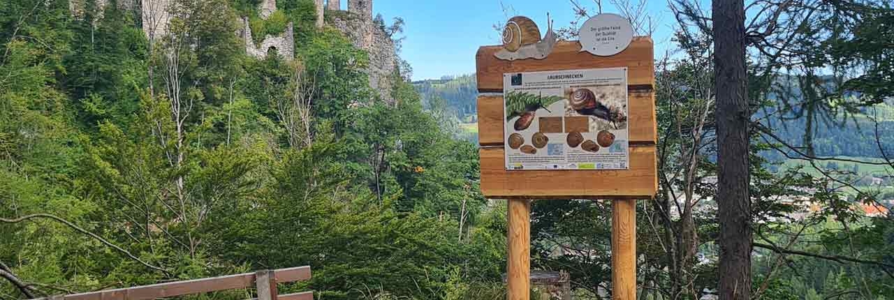 Naturlehrpfad Scharnstein - "Schneckenweg"