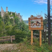Naturlehrpfad Scharnstein - "Schneckenweg"