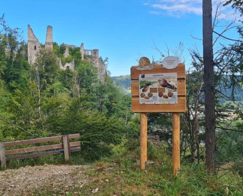 Naturlehrpfad Scharnstein - "Schneckenweg"