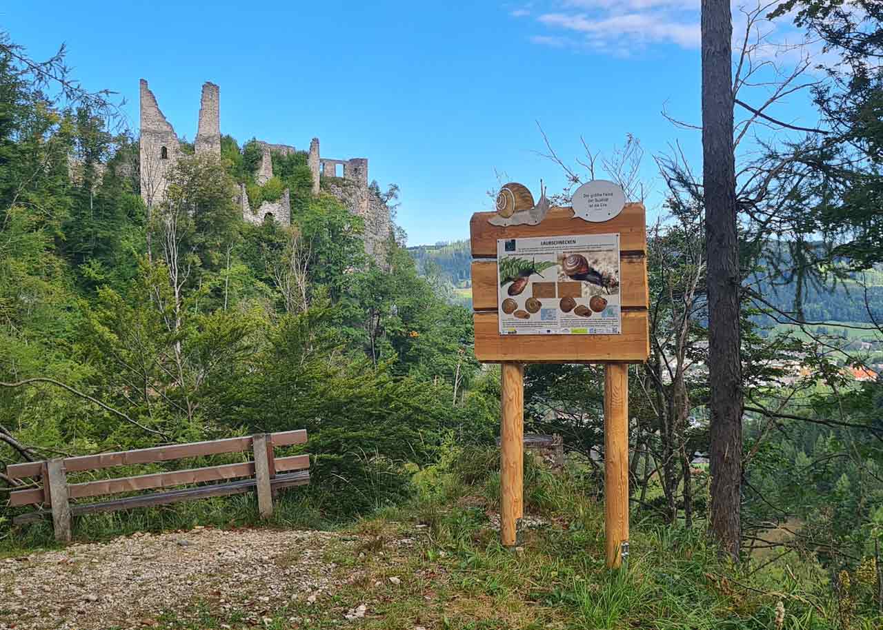 Naturlehrpfad Scharnstein - "Schneckenweg"